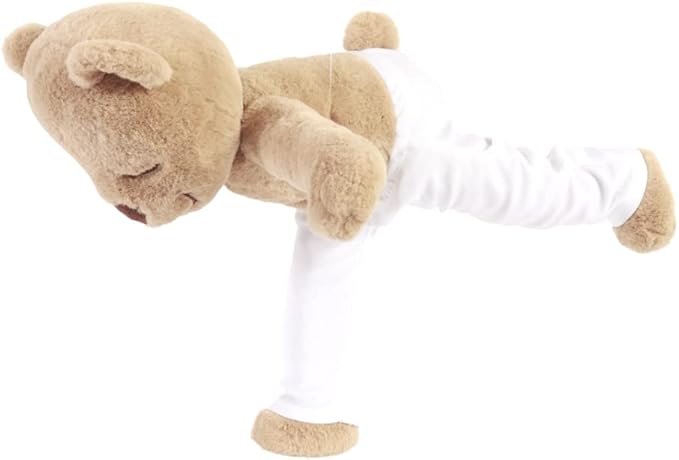 Meddy Teddy The Yoga Bear