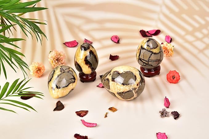 AMOYSTONE Natural Septarian Polished Egg Shape with Base Healing Crystal Egg Height 2-2.5", for Thanksgiving Christmas Home Decors, Housewarming Gift