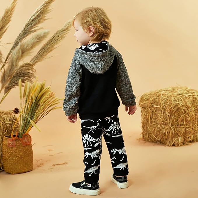 Baby Boys Dinosaur Long Sleeve Hoodie Tops Sweatsuit Pants Winter Outfit Set