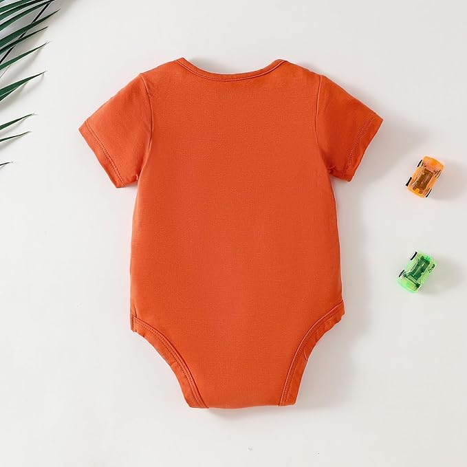 DEFAHN 2PCS Visocse from Bamboo Baby Rompers Unisex Onsies Solid Short Sleeve Baby Bodysuit 0-24 Months