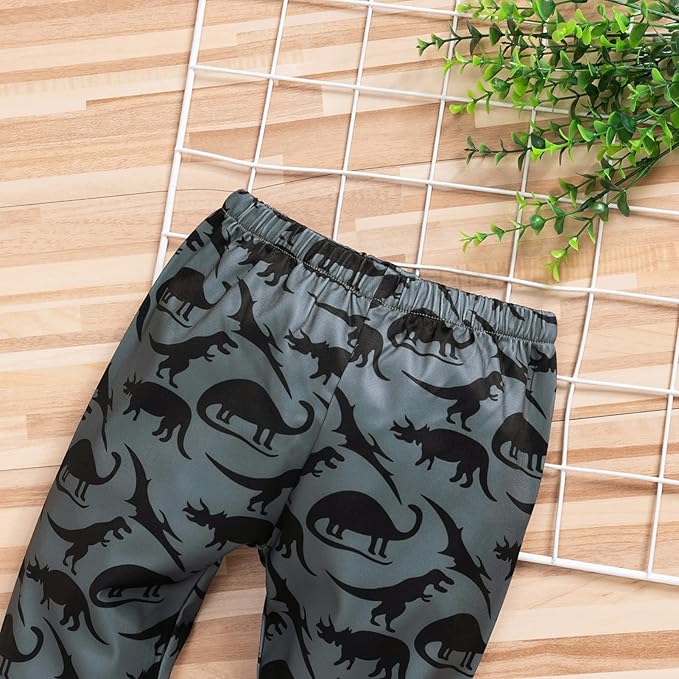 Baby Boys Dinosaur Long Sleeve Hoodie Tops Sweatsuit Pants Winter Outfit Set