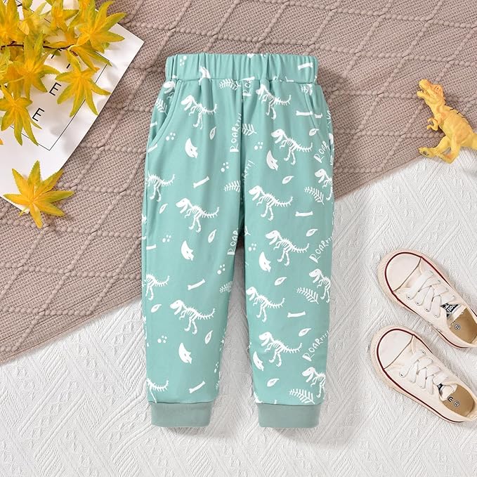 Baby Boys Dinosaur Long Sleeve Hoodie Tops Sweatsuit Pants Winter Outfit Set