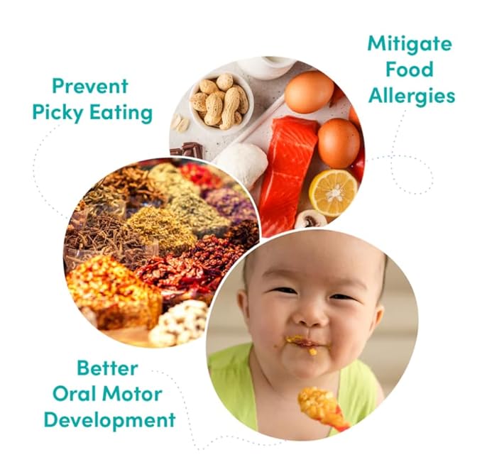 Globowl Stage 3 Baby Food & Toddler Meals, 6+ Months Early Allergen Introduction, Baby Led Weaning, International Whole Food Snacks for Toddlers, Babies, 4 oz Glass Jar, Variety 4-Pack