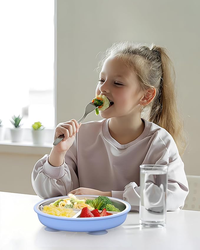 Stainless Steel Toddler Suction Plate with Lid, Deepened 9" Divided Plates with Removable Silicone Sleeves for Kids, Non Toxic Unbreakable Snack Dishes Set of 4, Sage Blue Gray Blush