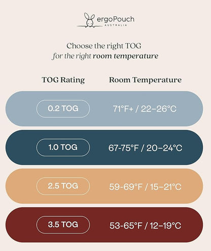 ergoPouch 2.5 Tog Jersey Sleeping Bag – Arms-Out Baby Sleep Sack, Ideal Transition from Swaddling, Slim Fit Keeps Baby Secure & Comfortable, Soft Breathable Fabric (3-12 Months, Dragonflies)