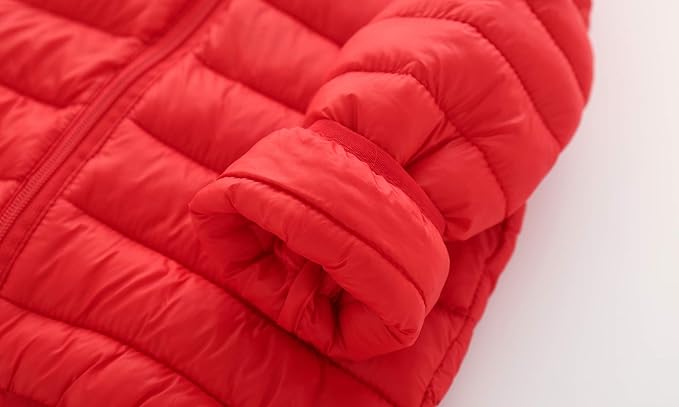 CECORC Toddler Winter Coats Lightweight Puffer Jacket for Baby Infant kids, 6-12 Month,12-18 Month, 2t,3t,4t