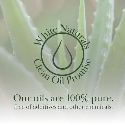 Organic Aloe Vera Oil, Therapeutic Premium Oil, Moisturizing Cold Pressed 100% Pure Natural Aloe Barbadensis Care for Skin, Body, Hair Growth, Face Moisturizer, Baby Oils, Used for Massage, Bath 4oz