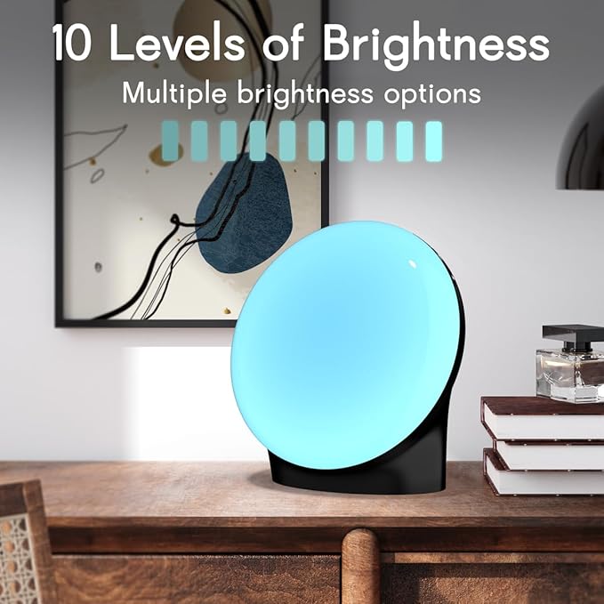 BrownNoise Electric Night Light for Baby 12 Colors Reading Lights for Indoor Use and 10 Adjustable Brightness 4 Timers for Baby Adult Kids