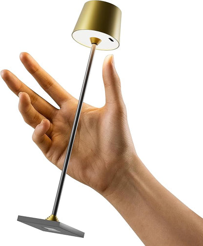 Compact Cordless Table Lamp, Rechargeable LED Night Light, Dual Light Source (RGB Top & Warm Bottom), Touch Control & Timer, Metal Lamp for Bedroom & Kids Room (Antique Brass & Black)