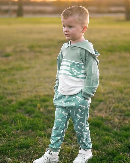 Baby Boys Dinosaur Long Sleeve Hoodie Tops Sweatsuit Pants Winter Outfit Set