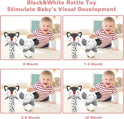 Baby Rattles 0-6 Months Newborn Toys Infant Toys 0-6 Months Rattles for Babies 0-6 Months Baby Toys 0-6 Months, Black and White High Contrast Baby Toys for Newborn 0 3 6 9 12 Months Girls Boys