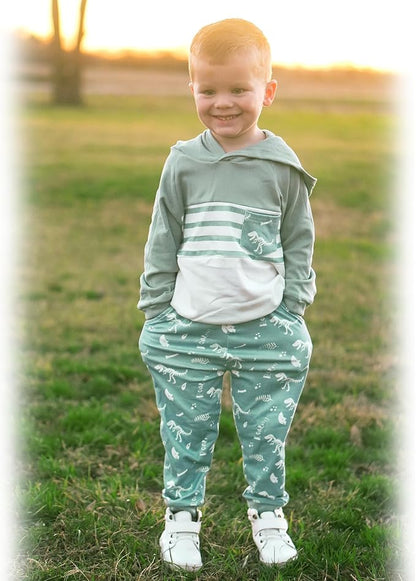 Baby Boys Dinosaur Long Sleeve Hoodie Tops Sweatsuit Pants Winter Outfit Set