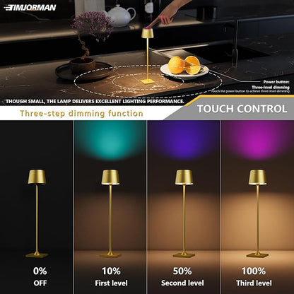 Compact Cordless Table Lamp, Rechargeable LED Night Light, Dual Light Source (RGB Top & Warm Bottom), Touch Control & Timer, Metal Lamp for Bedroom & Kids Room (Golden 1-Pack)