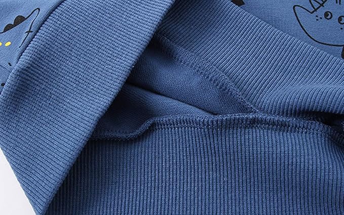 Toddler Baby Boy Clothing Sets Little Dinosaur Printed Long Sleeve Tops and Pants Kids 2pcs Outfits