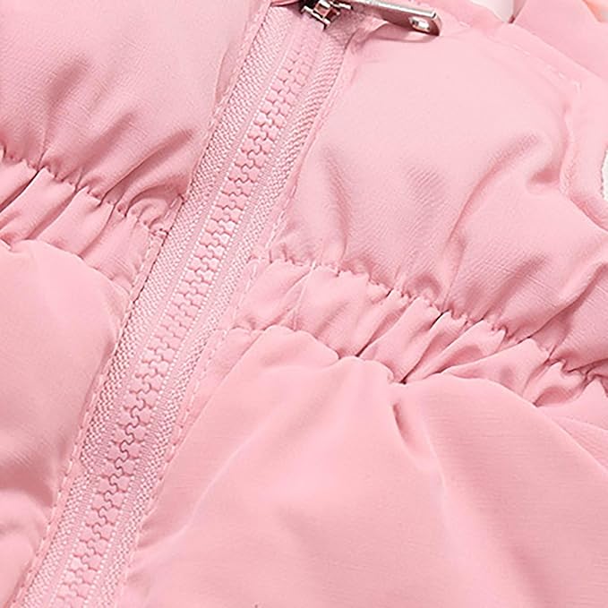 Kids 2 Piece Snowsuit Sets Girls Boys Winter Cute Hooded Puffer Jacket Snow Pants Snowboard Skiing Sets Insulated