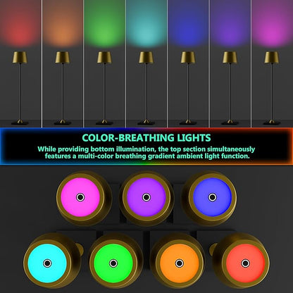 Compact Cordless Table Lamp, Rechargeable LED Night Light, Dual Light Source (RGB Top & Warm Bottom), Touch Control & Timer, Metal Lamp for Bedroom & Kids Room (Antique Brass & Black)