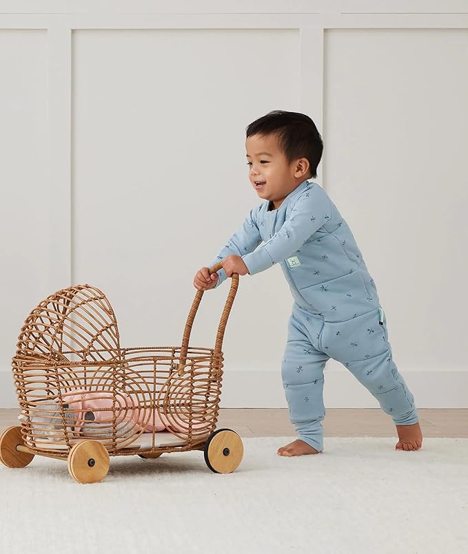 ergoPouch Sleep Onesie 3.5 TOG – Warm Baby Romper & Sleep Layer with Full-Zip, Guarding Against Blankets, Breathable & Movement-Friendly, Ideal for Transitional Sleeping (12-24 Months, Dragonflies)