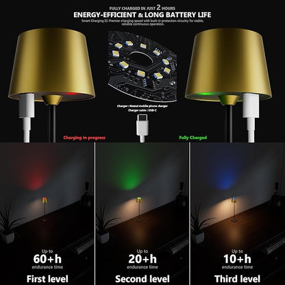 Compact Cordless Table Lamp, Rechargeable LED Night Light, Dual Light Source (RGB Top & Warm Bottom), Touch Control & Timer, Metal Lamp for Bedroom & Kids Room (Antique Brass & Black)