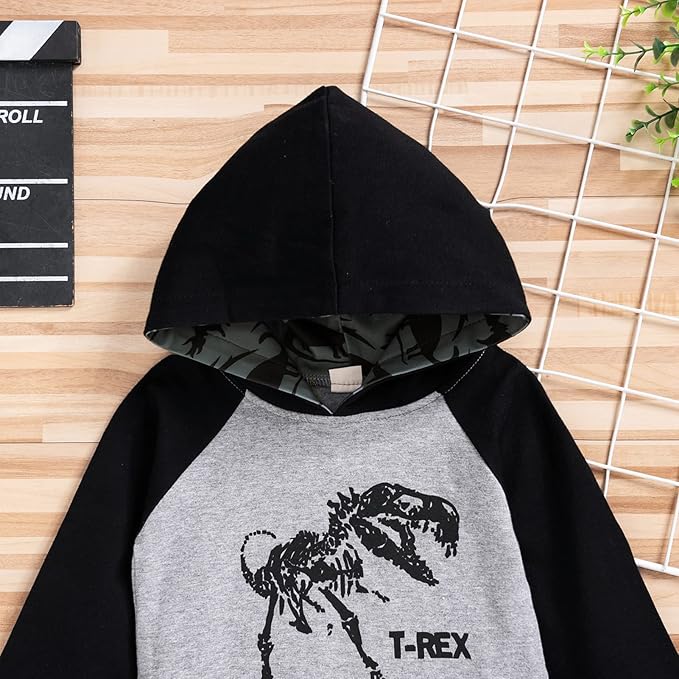 Baby Boys Dinosaur Long Sleeve Hoodie Tops Sweatsuit Pants Winter Outfit Set