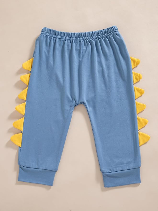 Baby Boy Swimsuit UPF 50+ Sun Protection Rash Guard Swimwear Zipper One Piece Toddler Boy Bathing Suit With Hat