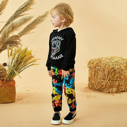 Baby Boys Dinosaur Long Sleeve Hoodie Tops Sweatsuit Pants Winter Outfit Set