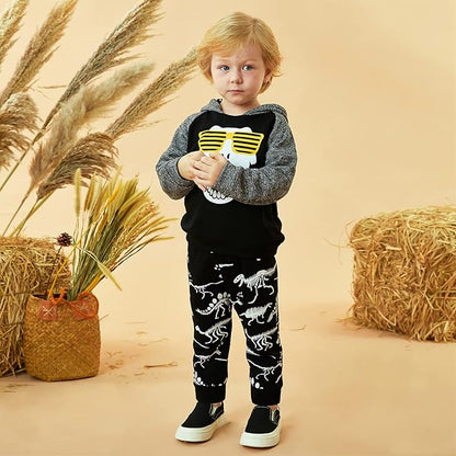 Baby Boys Dinosaur Long Sleeve Hoodie Tops Sweatsuit Pants Winter Outfit Set