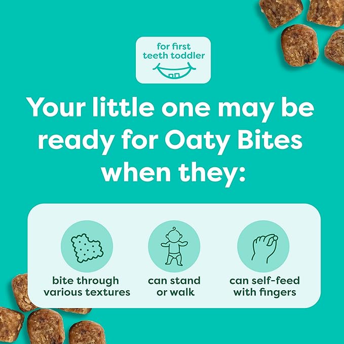 Beech-Nut Toddler Snacks, Oaty Bites with Fruit & Whole Grains, Mixed Berry Toddler Snack Bites for Toddlers 12 Months & Older, Pack of 6 Boxes (42 single-serve bags)