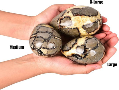 AMOYSTONE Natural Septarian Polished Egg Shape with Base Healing Crystal Egg Height 2-2.5", for Thanksgiving Christmas Home Decors, Housewarming Gift