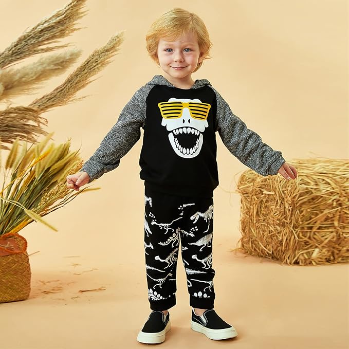 Baby Boys Dinosaur Long Sleeve Hoodie Tops Sweatsuit Pants Winter Outfit Set