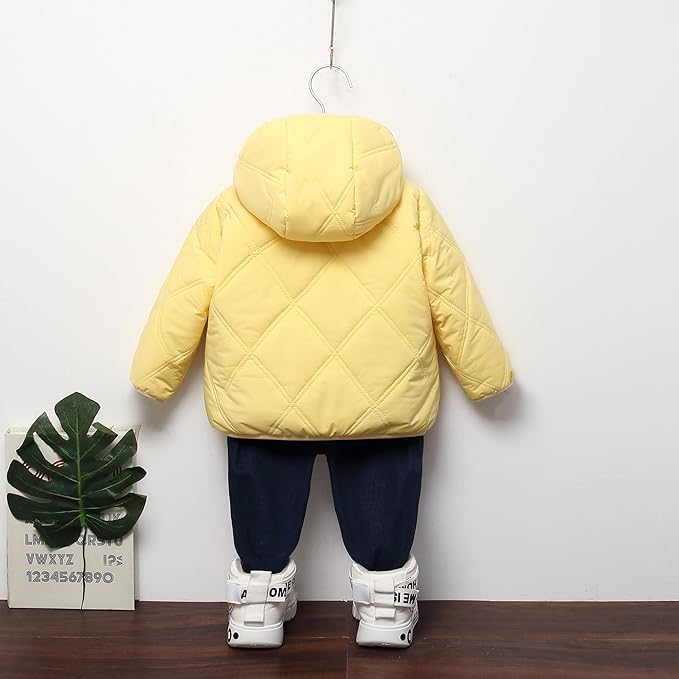 Baby Boys Girls Toddlers Winter Coats Puffer Jacket Hooded Down Snow Jacket Coat Outerwear