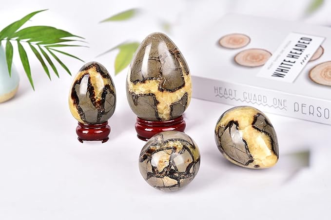 AMOYSTONE Natural Septarian Polished Egg Shape with Base Healing Crystal Egg Height 2-2.5", for Thanksgiving Christmas Home Decors, Housewarming Gift