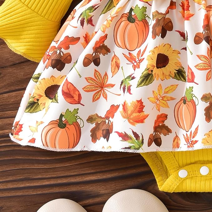 Aalizzwell Infant Baby Girls One Piece Romper Dress with Hat 0-18 Months