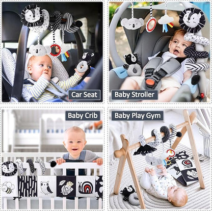 Joyreal High Contrast Baby Toys for Newborn, Black and White Baby Sensory Toys with Car Seat Toys,Infant Toys with Black White Cards Book, Montessori Toys for Baby Gifts