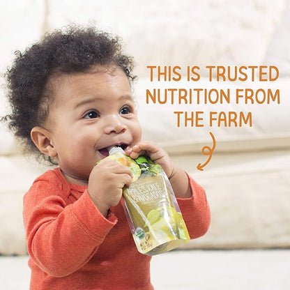 Happy Baby Organics Clearly Crafted Stage 2 Baby Food, Bananas, Raspberries & Oats (Pack of 16) & Happy Tot Organics Super Morning Stage 4, Apple Cinnamon, Yogurt, Oats Pack of 8)