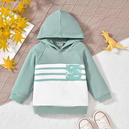 Baby Boys Dinosaur Long Sleeve Hoodie Tops Sweatsuit Pants Winter Outfit Set