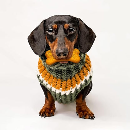 Playology Dog Toys | Dual Layer Bone Durable Chew Toy Bone for Dogs (Value 2-Pack) | Small Pumpkin Spice Scented Toy - Easy to Clean and Made from Non Toxic Materials