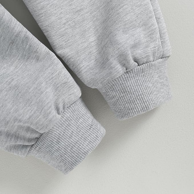 CIYCUIT Toddler Baby Boy Clothes Long Sleeve Sweatshirt Pants Set Fall Winter Outfits