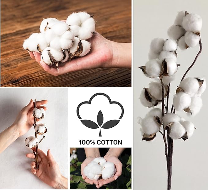 Newborn Baby Sleeveless Pack of 6 Tank Tops 100% Cotton Shirts, Short Sleeve Tees 0-24 Months Boys, Girls, Unisex