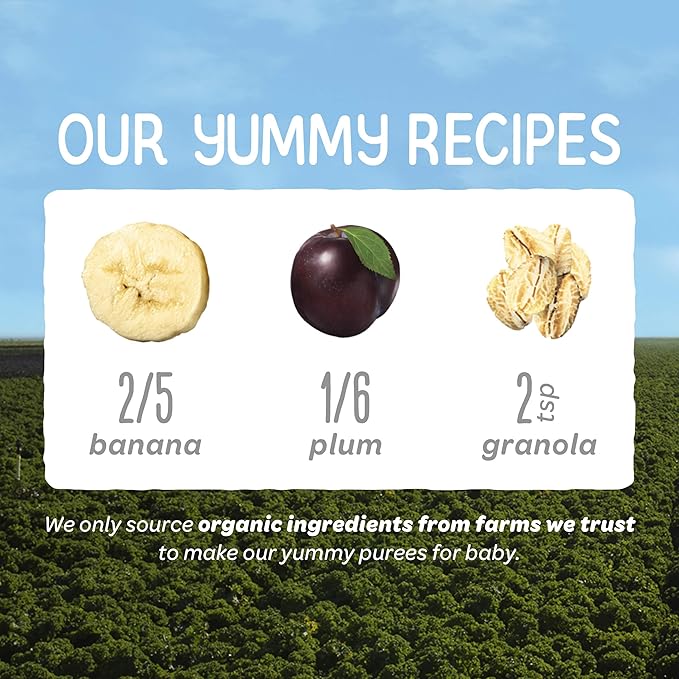 Happy Baby Organics Stage 2 Baby Food Pouches, Gluten Free, Vegan & Healthy Snack, Clearly Crafted Fruit & Veggie Puree, Apples, Bananas, Plums & Granola, 4 Ounces (Pack of 16)