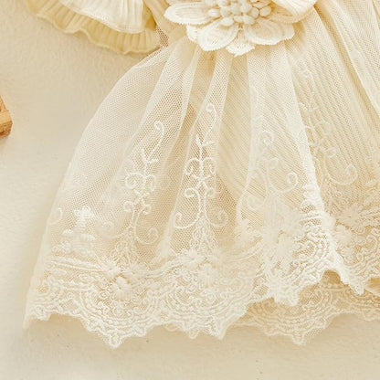 Infant Baby Girl Lace Romper Baby Tulle Dress Romper Flowers Bodysuit Spring Summer Festival Clothes with Headband