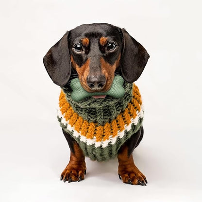 Playology Dog Toys | Dual Layer Bone Durable Chew Toy Bone for Dogs, Value 2-Pack | Small Butternut Squash Scented Toy - Limited Edition Fall Scent | Easy to Clean and Made from Non Toxic Materials