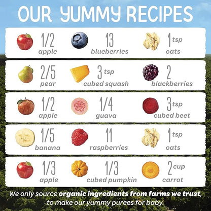 Happy Baby Organics Stage 2 Baby Food Pouches, Gluten Free, Vegan & Healthy Snack, Clearly Crafted Fruit & Veggie Puree, Fruit & Veggie Variety Pack, 4 Ounces (Pack of 10), Amazon Exclusive