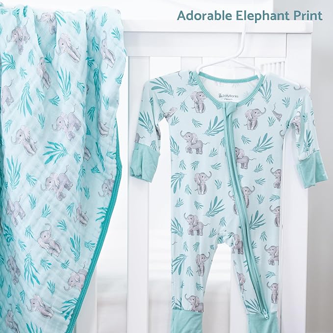 LollyBanks Baby Pajamas, 2-Way Zipper Infant Romper, 95% Viscose Made from Bamboo and 5% Spandex, Baby Sleepers