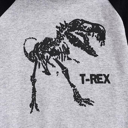 Baby Boys Dinosaur Long Sleeve Hoodie Tops Sweatsuit Pants Winter Outfit Set